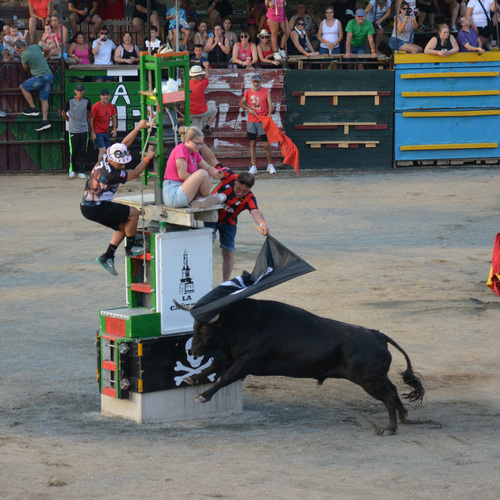 Toros-16-17Nk (12 de 15)